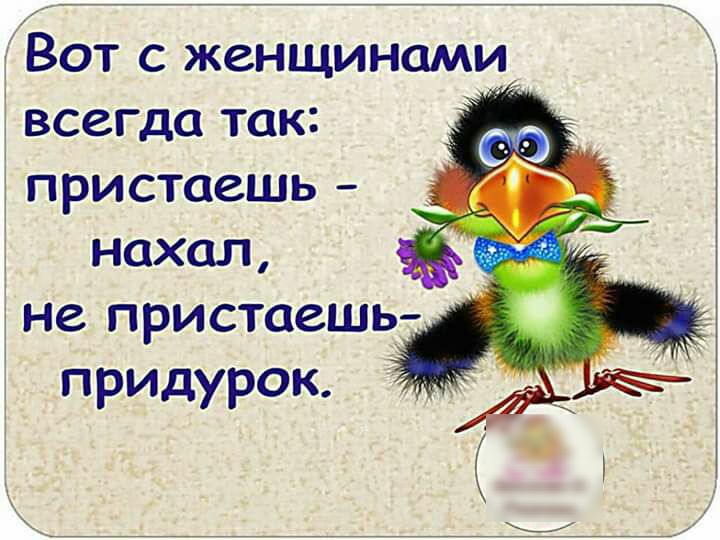 Вот с женщинами всегда так 3 пристаешь нахал не пристсиашь придурок