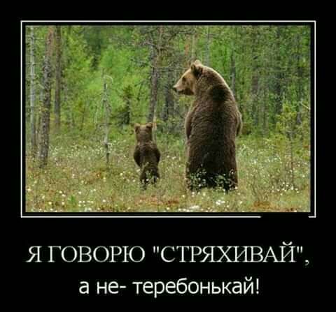 Я ГОВОРЮ СТРЯХИВАЙ а не теребонькай