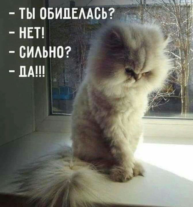 ТЫ ОБИПЕААОЬ НЕТ СИАЬНО ПА