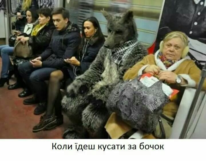 К 0 Ч 0 б а 3 И Т а С у К Ш В ш И Л О К