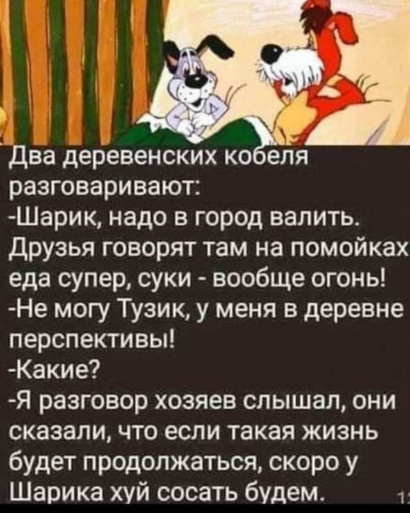 Два деревенских ко еля разговаривают Шарик надо в город валить друзья говорят там на помойках еда супер суки вообще огонь Не могу Тузик у меня в деревне перспективьп Какие Я разговор хозяев слышал они сказали что если такая жизнь будет продолжаться скоро у Шарика хуй сосать будем 1