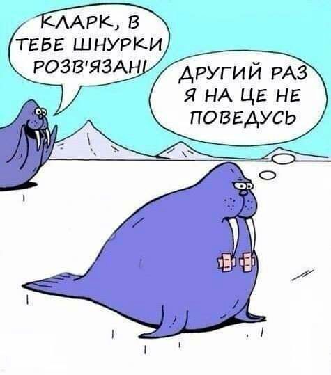 51 НА ЦБ на поввдусь