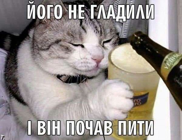 пир ШЁПЁШ
