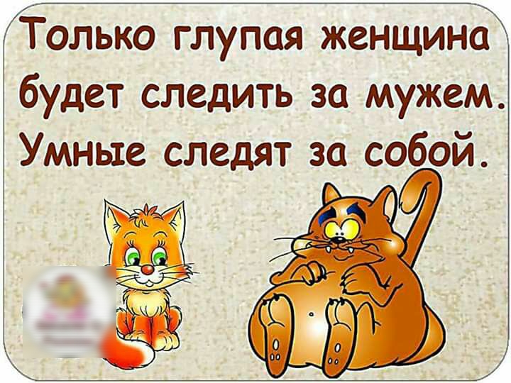 Только глупая женщина будет следить за мужем Умные следят за собой