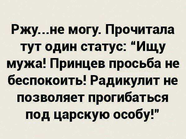 Ржуне могу Прочитала тут один статус Ищу мужа Принцев просьба не беспокоить Радикулит не позволяет прогибаться под царскую особу