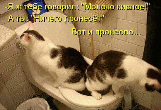_ Й 7 ваш А ты г ичего гп