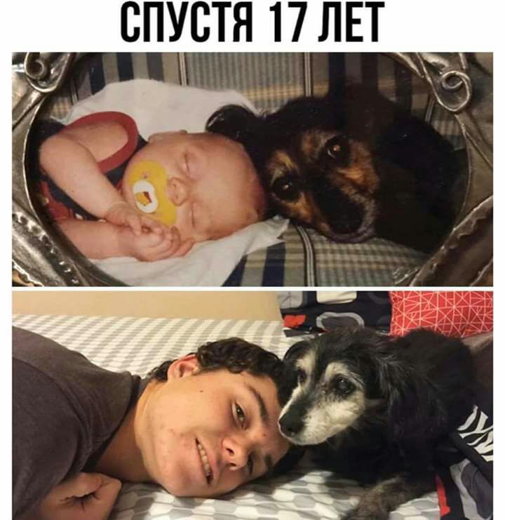 СПУСТЯ 17 ЛЕТ _