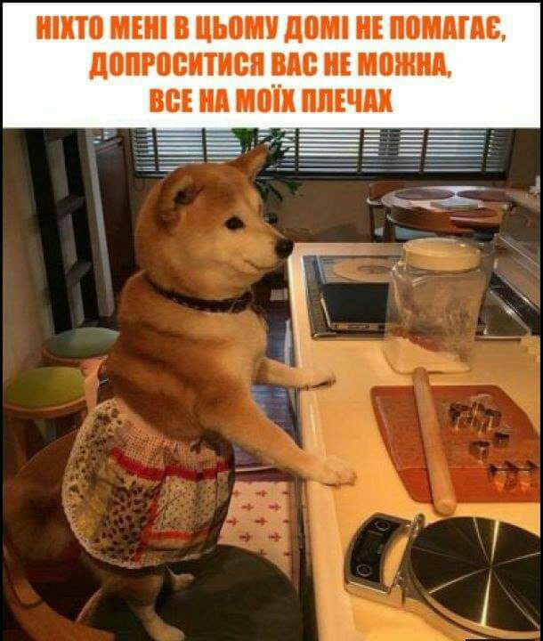 ИЕП ШШШ дощ ПЕ МШ пишется Щ по В М Я ШШ и