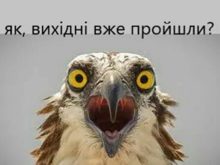 як вихідні вже пройшли