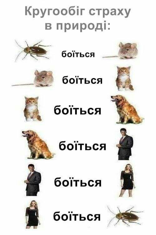 Кругообіг страху в природі бопться __Ё бопться бопться Ъ боіться бопться Я бопться ё