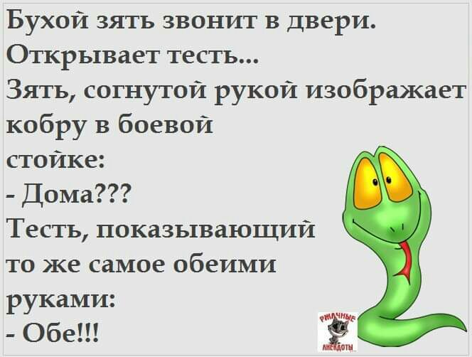 Бухой зять звонит в двери Открывает тесть Зять согнутой рукой изображает кобру в боевой стойке Дома Тесть показывающий то же самое обеими руками Обе