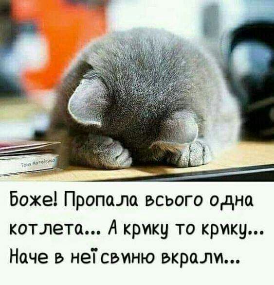 Боже Пропала всього одна котлета А крику то крику Наче в неТ свиню вкрали