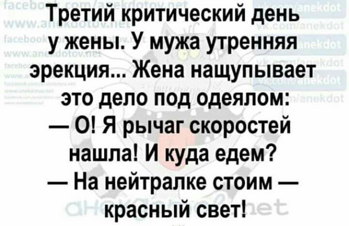 Третий критический день у жены У мужа утренняя эрекция Жена нащупывает это дело под одеялом О Я рычаг скоростей нашла И куда едем На нейтралке стоим красный свет