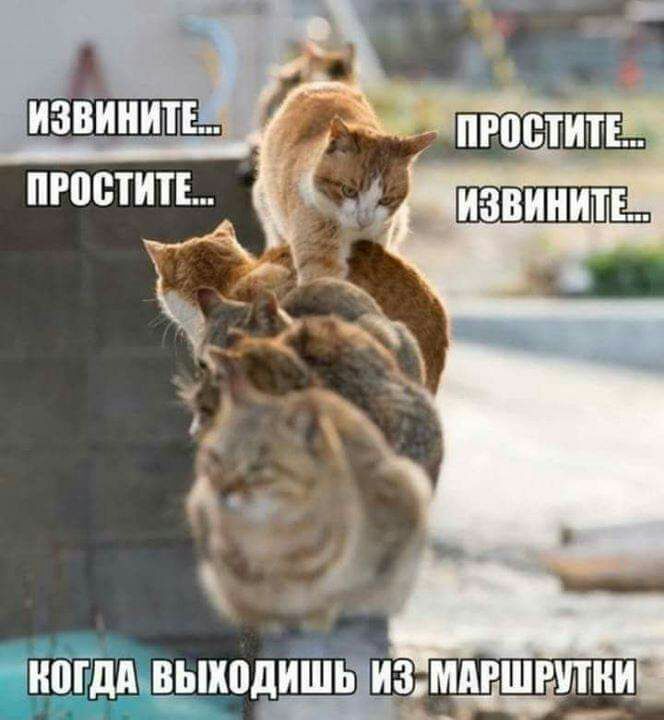 И0Г ВЫИПДИШЬ ИЗИАРШРЕУШИИ