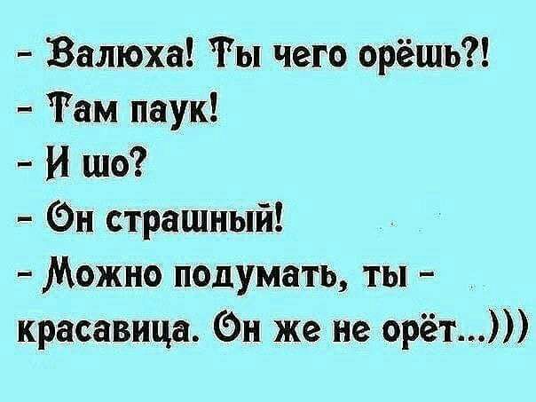 Валюха Ты чего орёшь Там паук И шо Он страшный Можно подумать ты красавица Он же не орёт