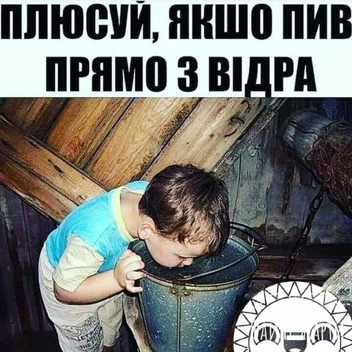 ПЛЮЩ ЯНШП ПИБ