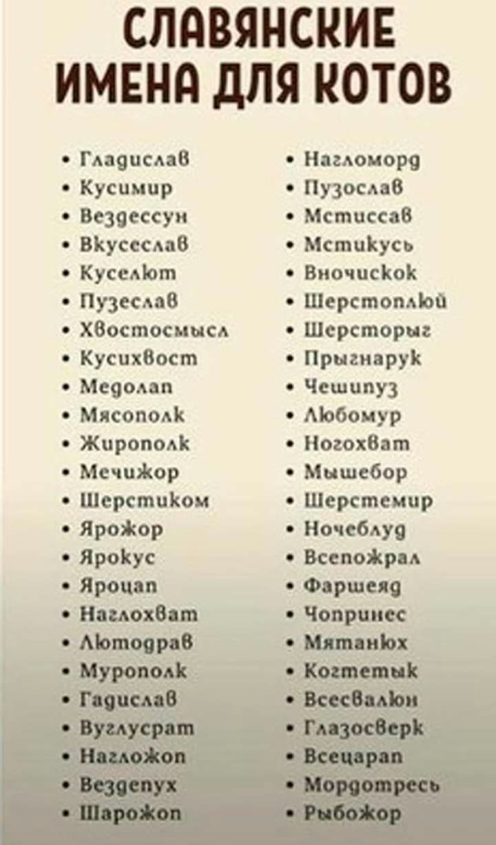 СПдВЯНСКИЕ ИМЕНЯ дЛЯ КОТОВ Гдаяпсдав Кусцмпр Бсзяессуи ВКусссдав Кусаот Пузесдав хвостоснысд КусихВост Меяодап Мясоподк Жиротмі Мсчшікор Шсрстціюм прожор ЯроКус Яроцяп Номаде п АЬшояраВ Муродали Нама поро Пузосдав Мстцссав Мстийусь Виочпсіюк Шерстоміоп Шсрсториг Прыгиврук Чешипу Мобоиур Погох8ат Мышебор Шсрстсмир Ночсбдуо Всепойрп Фортеця Чопрциес Шшшш Кошалин