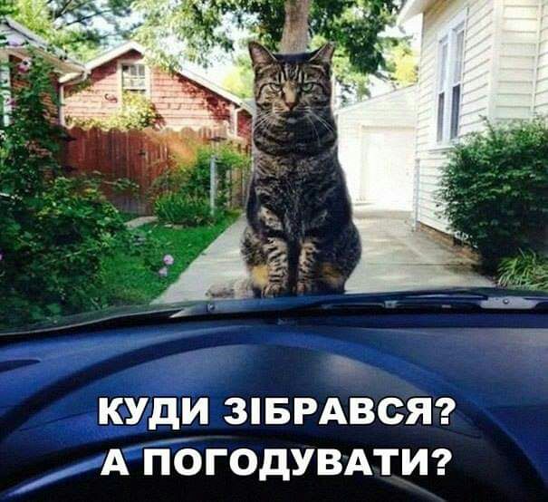 куди зпврдвсяэ А погодУВАтиг