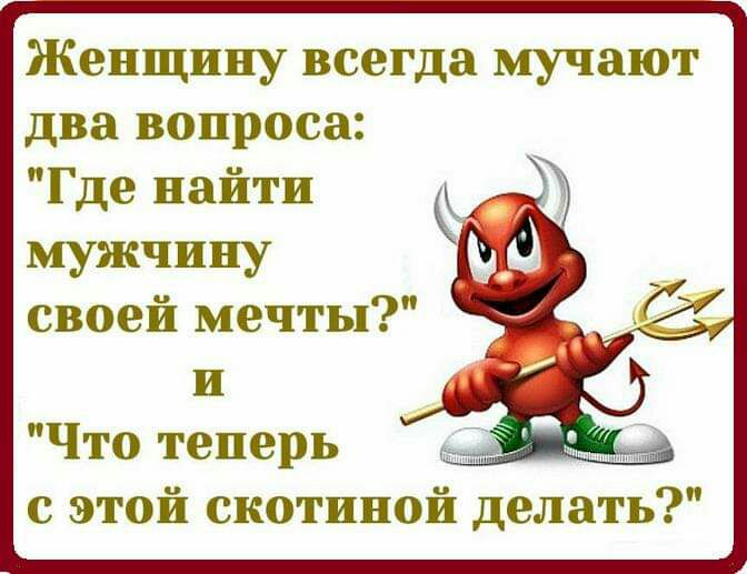 Женщину всегда мучают два вопроса Где найти мужчину своей мечты и Что теперь с этой скотиной делать