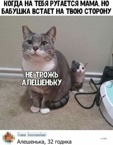 КОГДА НА ТБЯ РУГАЕТСЯ МАМА НО БАБУШШ ВСТАЕТ НА ТВОЮ СТОРОНУ АПЕШЕНЫО О п_3 Апешенька 32 годИКЗ
