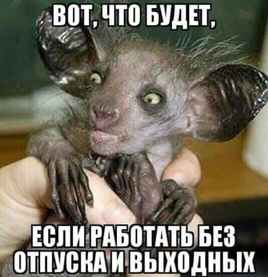 543 что видн гг _ дж 353 Авни ЕАвотАтьтыз ШТПУВНАИ в_ь_хпдных