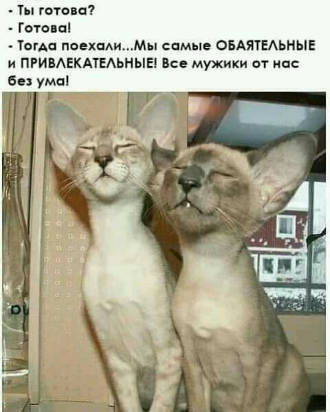Ты готова Готова Тогда поехаАИМы самые ОБАЯТЕАЬНЫЕ и ПРИВАЕКАТЕАЬНЫЕ Все мужики от нас без ума