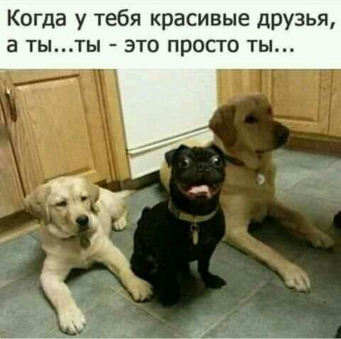 Когда у тебя красивые дРУЗЬЯ а тыты это просто ты