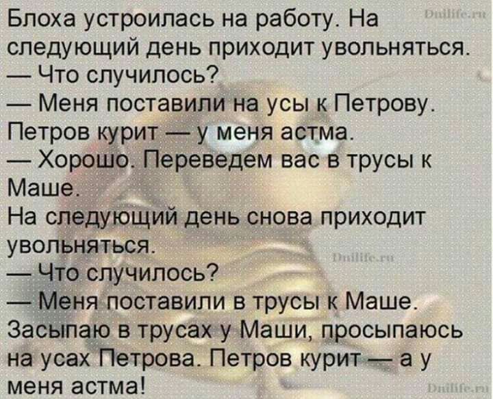 Блоха устроилась на работу На следующий день приходит увольняться Что случилось Меня поставили на усы к Петрову Петров курит у меня астма Хорошо Переведем вас в трусы к Маше На следующий день снова приходит увольняться Что случилось Меня поставили в трусы к Маше Засыпаю в трусах у Маши просыпаюсь на усах Петрова Петров курит _ а у меня астма