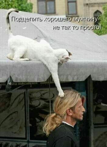 3 В Подчепи гь хорошей счлг 4 Не так Ю ПРОЦ