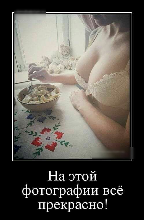 На этой фотографии всё прекрасно