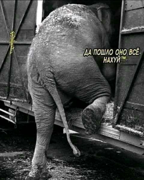 пошло оноівдЁ тд