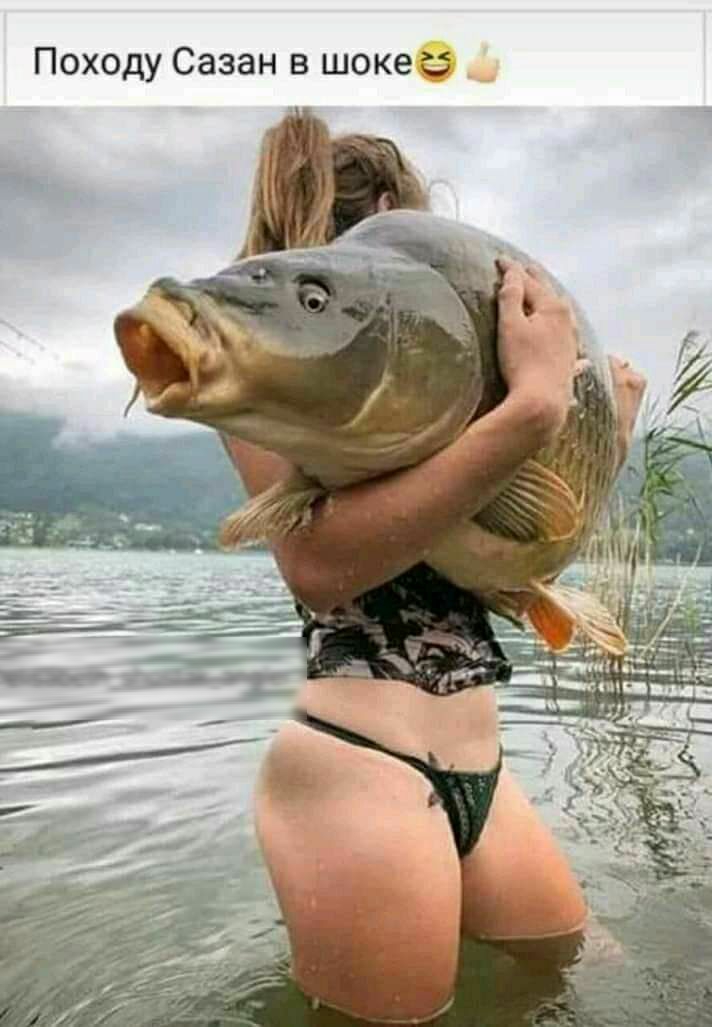 Походу Сазан в шоке