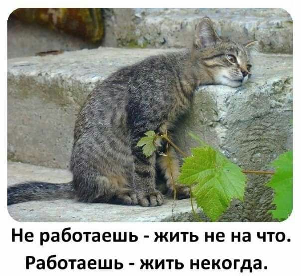 Не работаешь жить не на что Работаешь жить некогда