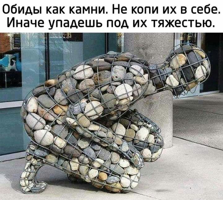 Обиды как камни Не копи их в себе Иначе упадешь под их тяжестью