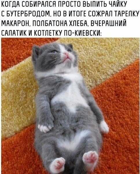КОГДА СОБИРМПЕН ПРОСТО ВЫПИТЬ ЧдИКУ С БУТЕРБРОДОМ НО В ИТОГЕ ЕОЖРАП ТАРЕПКУ МдКдРОН ПОПБАТОНА ХПЕБЛ ВЧЕРАШНИИ САПАТИК И КОТЛЕТКУ ПО КИВЕЕКИ