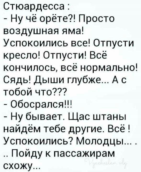 Стюардесса Ну чё орёте Просто воздушная яма Успокоились все Отпусти кресло0тпустиВсё кончилось всё нормально Сядь Дыши глубже А с тобой что Обосрался Ну бывает Щас штаны найдём тебе другие Всё Успокоились Молодцы Пойду к пассажирам схожу