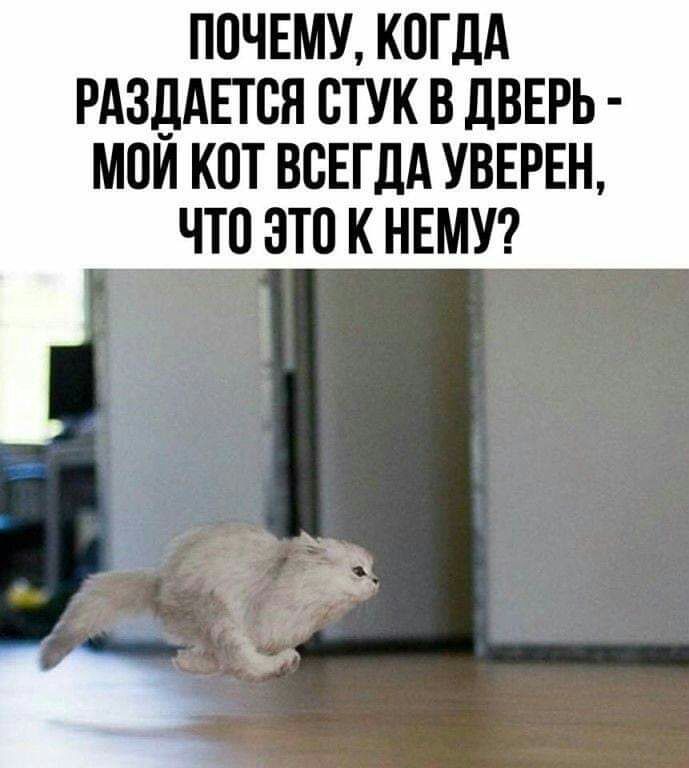 ППЧЕМУ КПГДА РАЗДАЕТБН ВТУК В ДВЕРЬ МОИ КПТ ВСЕГДА УВЕРЕН ЧТП ЭТП К НЕМУ
