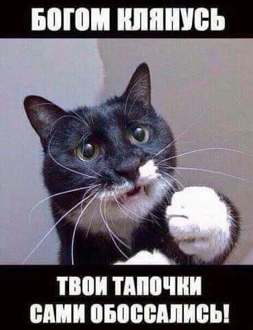 БМП ШШШБЪ ПШИ ШШШ ШШ ОБМЮМШБЫ