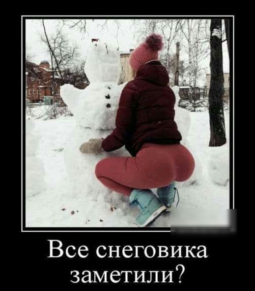 Все снеговика заметили