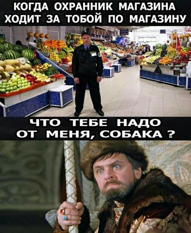 КОГДА ОХРАННИК МАГАЗИНА ХОдИТ ЗА ТОБОЙ ПО МАГАЗИНУ ЧТО ТЕБЕ НАДО ОТ МЕНЯ СОБАКА