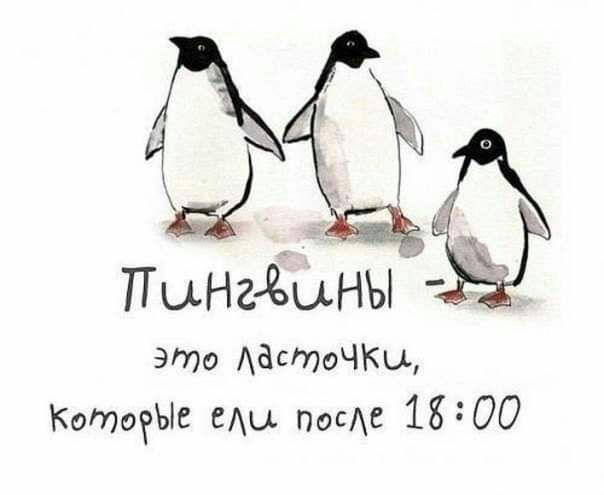 это АастоЧКы Котоеъіе еды посС 1800