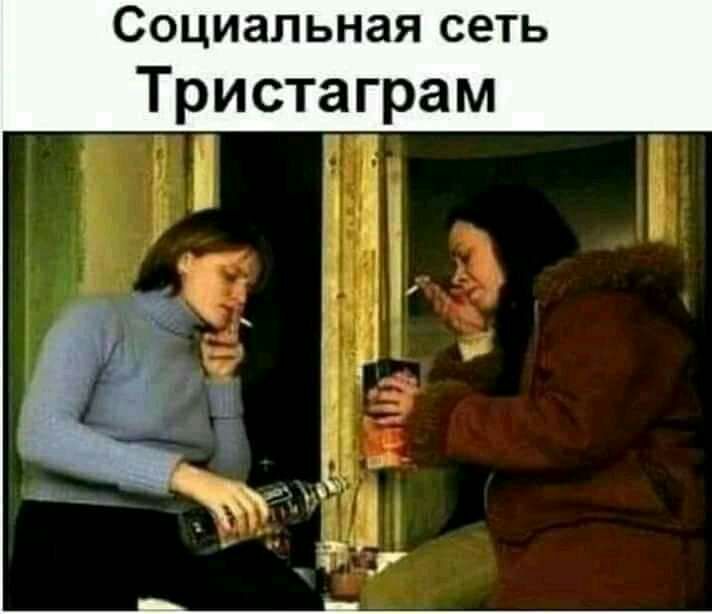 социальная сеть Тристаграм