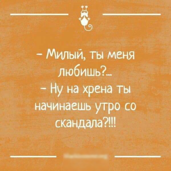 Милый ты меня любишь Ну на хрена ты начинаешь утро со сшщапат