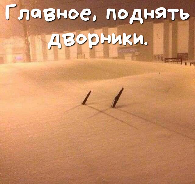Г пивное поднять дворники Ё
