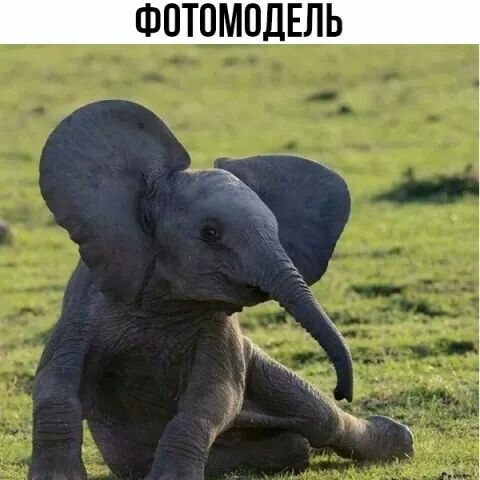 ФОТОМПДЕЛЬ