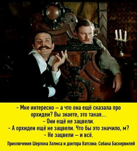Пг шипьщчнг