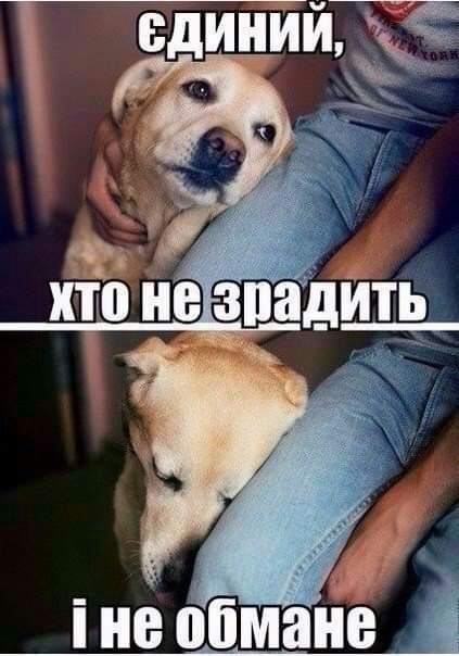 обман і