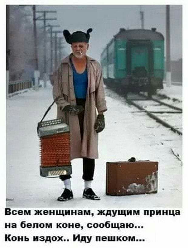 Всем женщинам ждущим принца на белом коне сообщаю Конь падеж Иду пешком _