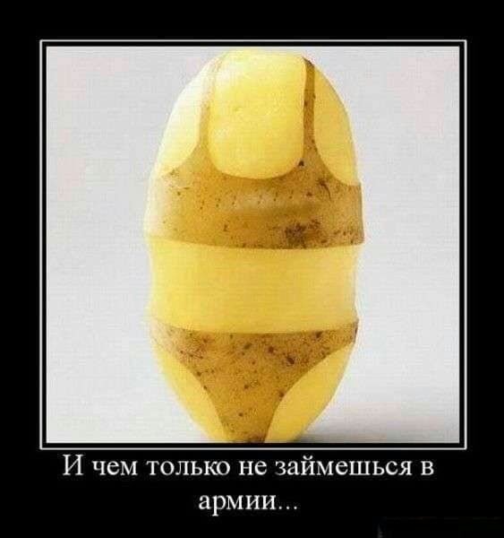 И чем только не займешься в армии