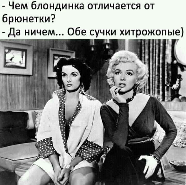 Чем блондинка отличается от брюнетки Да ничем Обе сучки хитрожопые